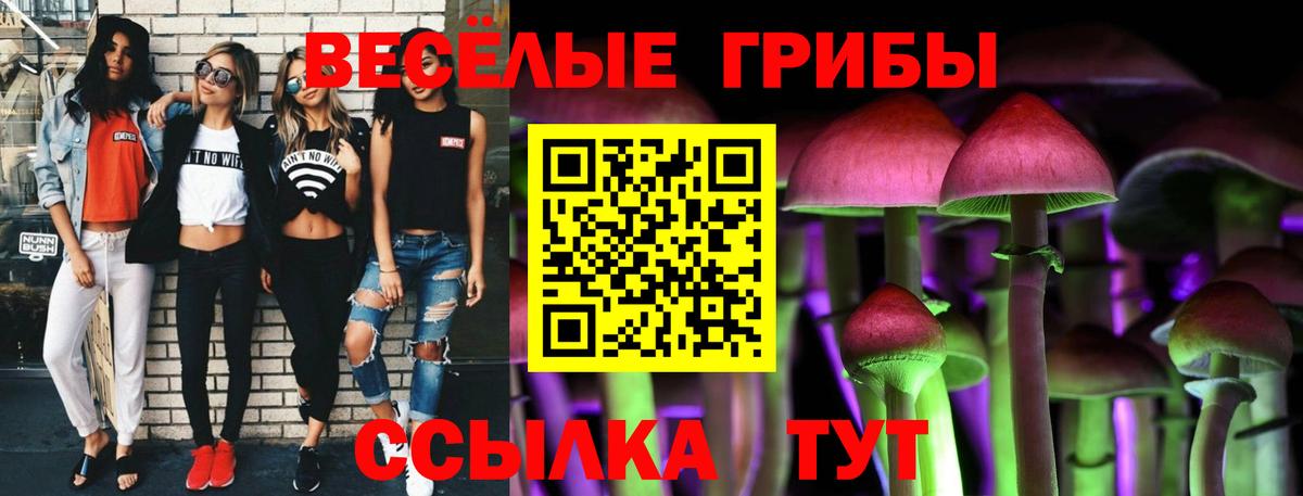 Псилоцибиновые грибы Psilocybine cubensis  Вход с VPN  Губкин 